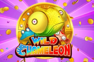 Wild Chameleon