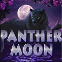 Epic Panther Moon