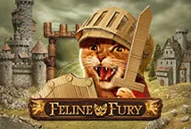 Feline Fury