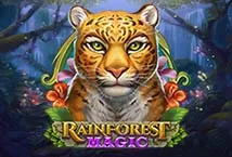 Rainforest Magic