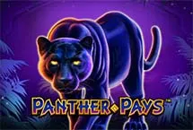 Panther Pays