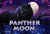 Panther Moon
